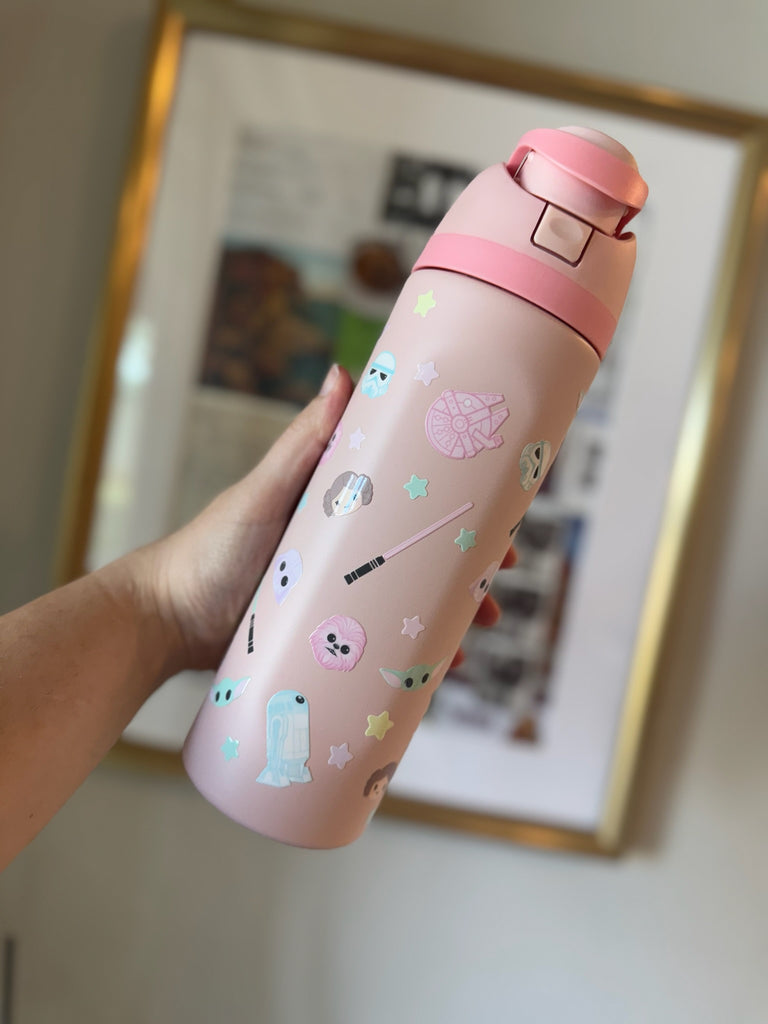 RTS 24 oz Pink Stainless Steel Water Bottle w/ Star Movie Inspired